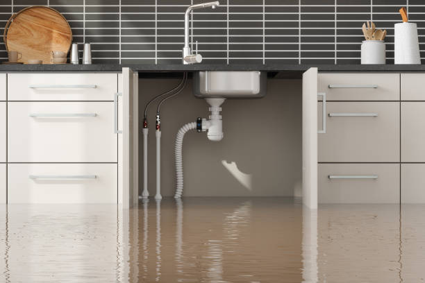 Best Water damage cleanup near me  in Springdale, OH